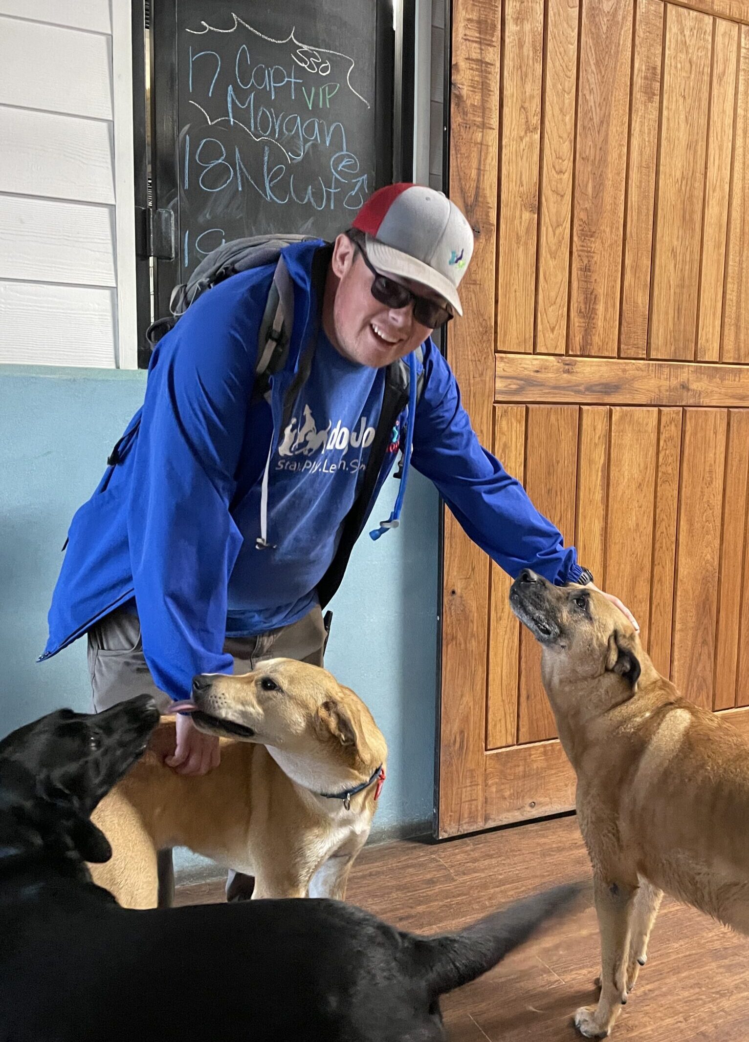 Staff member petting three dogs at DogJoy