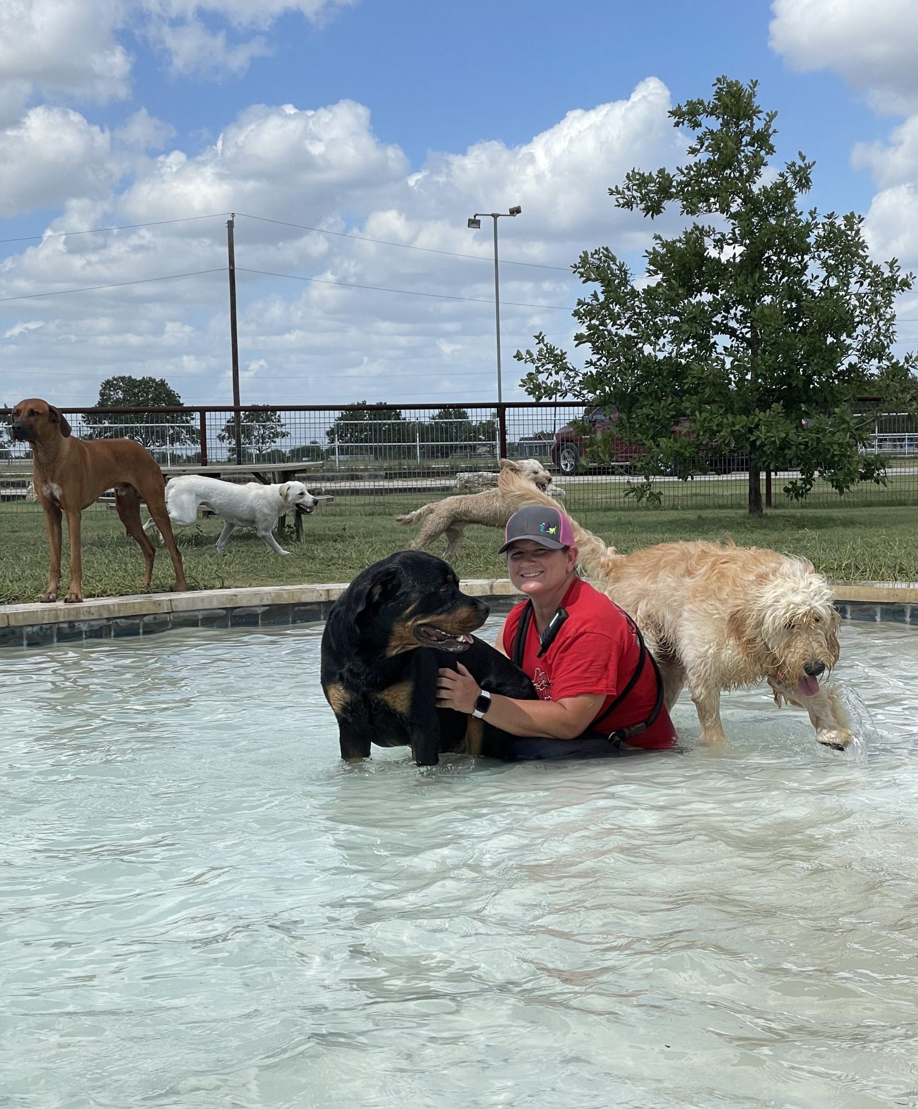 Dog sitting on staff member's lap in pool at DogJoy